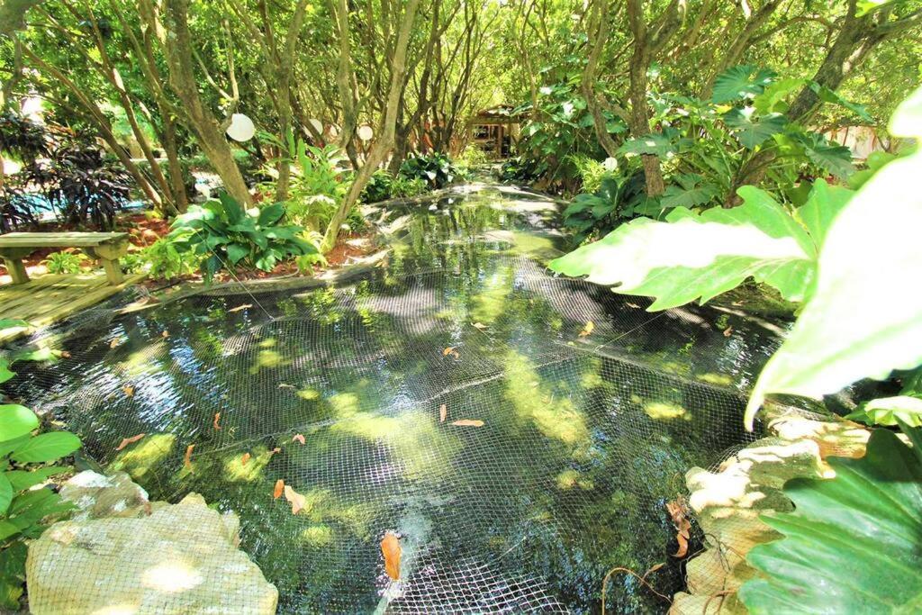 Magical Wonderkoi House In A Japanese Koi Garden Villa ไมอามี ภายนอก รูปภาพ